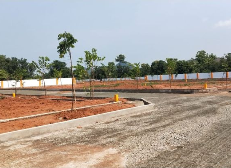 Shree Kusha Ventures